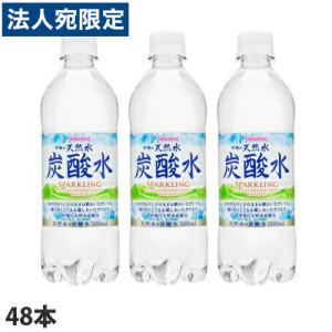 サンガリア 伊賀の天然水炭酸水 500ml×48...の商品画像