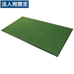 『取寄品』テラモト ハイペアロン MR-038-...の商品画像