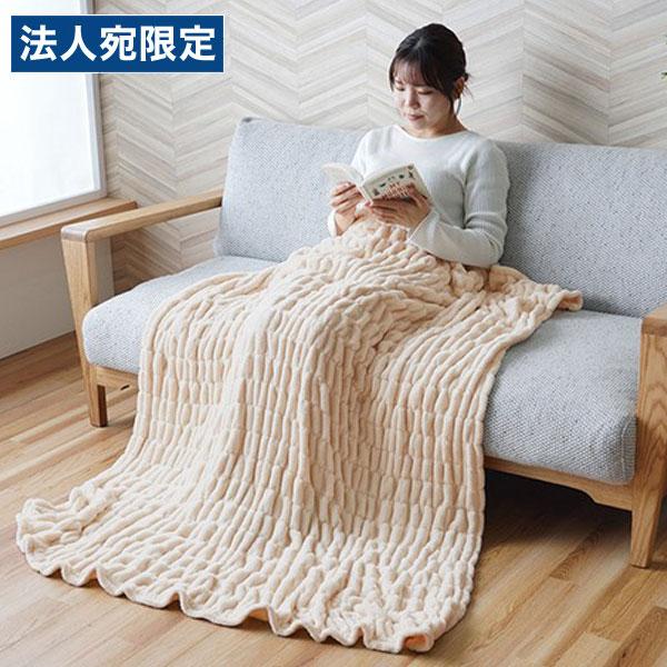 『代引不可』イケヒコ シュクル ハーフケット 100×140cm アイボリー SKR1019182 ...