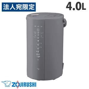 象印 スチーム式加湿器 ホワイト 3.0L EE-DC35-WA ( 1台 )/ 象印