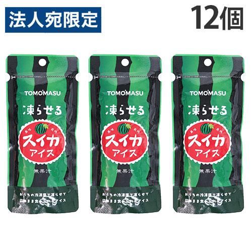 友桝飲料 果実アイス スイカ 80g 12個 パウチタイプ