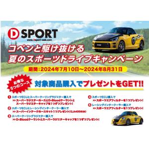 D-SPORT(Dスポーツ) エアロワイパーブレード【L880K用】 品番：85212  