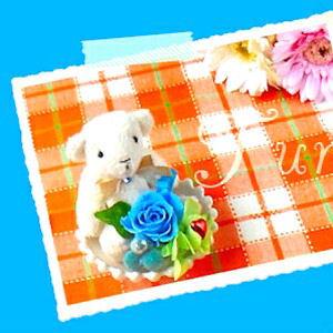 プリザーブドフラワー バースデーローズベア 12月ターコイズ 誕生日プレゼント くま あすつく 記念日 ホワイトデー 母の日 父の日 敬老の日 クリスマス Birthday Bear 12 Offrirオフリール 通販 Yahoo ショッピング