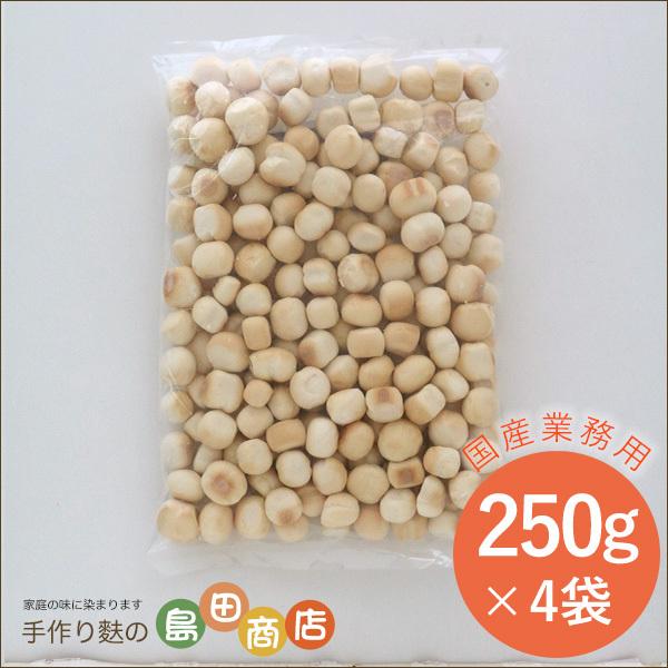 【業務用】胚芽入もち麩【送料無料】