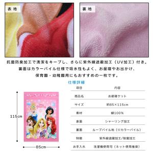 メール便送料無料 ディズニー プリンセス タオ...の詳細画像3