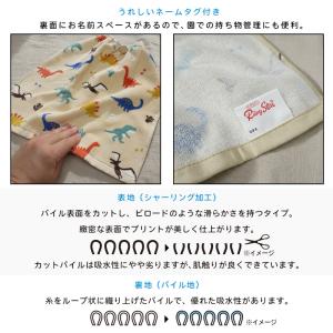 一般柄 おりこうタオル 35×34cm 綿10...の詳細画像2
