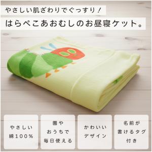 メール便送料無料 はらぺこあおむし タオルケッ...の詳細画像1