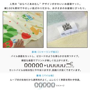 メール便送料無料 はらぺこあおむし タオルケッ...の詳細画像2