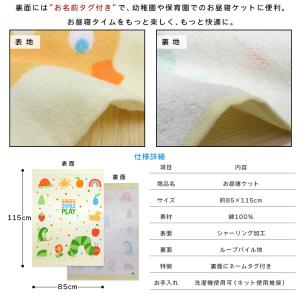 メール便送料無料 はらぺこあおむし タオルケッ...の詳細画像3