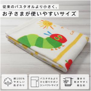 コンパクトバスタオル はらぺこあおむし 50×...の詳細画像1