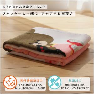メール便送料無料 くまのがっこう タオルケット...の詳細画像1