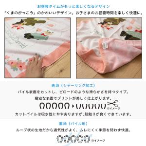 メール便送料無料 くまのがっこう タオルケット...の詳細画像2
