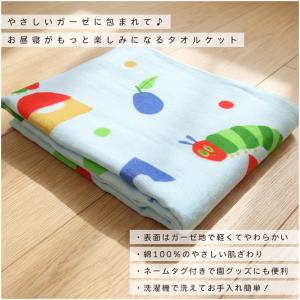 メール便送料無料 はらぺこあおむし タオルケッ...の詳細画像1