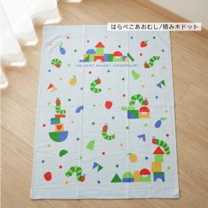 メール便送料無料 はらぺこあおむし タオルケッ...の詳細画像4