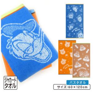 イマジニングザマジックのバスタオル 東京ディズニーリゾート フォトグラフィー・プロジェクト