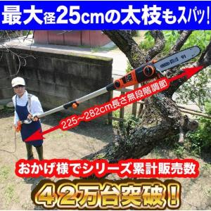 高枝切電動チェーンソー Vmax [ES N25A-JP] YARD FORCE 家庭用