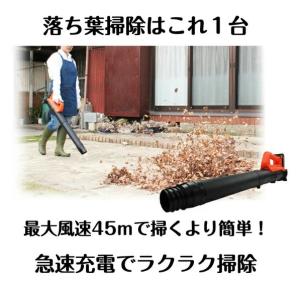 ブロワ 軽量 小型 コードレス ロングノズル 付属 落ち葉 ゴミ 屋根 庭 掃除  18V バッテリー 充電式 YARD FORCE 飛ばす 家庭用 植木 保証付 送料無料｜og-land