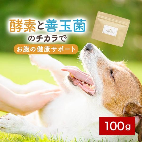 犬 酵素 ふりかけ パウダー