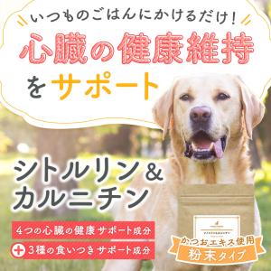 犬 犬用品 サプリ シトルリン カルニチン D...の詳細画像1