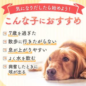 犬 犬用品 サプリ シトルリン カルニチン D...の詳細画像3