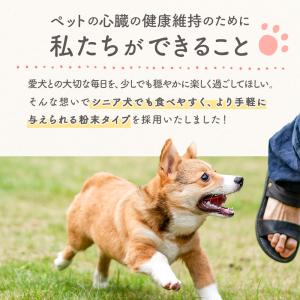 犬 犬用品 サプリ シトルリン カルニチン D...の詳細画像4
