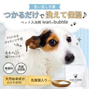 犬 犬用品 入浴剤シャンプー わんバブル 10...の詳細画像2
