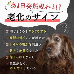 クリルオイル 犬 犬用品 猫 サプリ 国産 オ...の詳細画像3