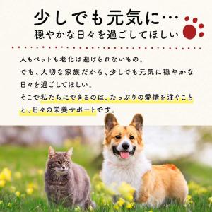 クリルオイル 犬 犬用品 猫 サプリ 国産 オ...の詳細画像4
