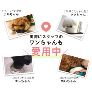 犬 犬用品 口臭 口腔ケア サプリ ラクトフェ...の詳細画像5