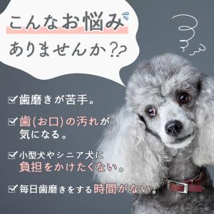 犬 犬用品 歯磨き 粉末 パウダー 口腔ケア ...の詳細画像5