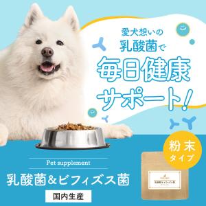 犬 犬用品 乳酸菌 ビフィズス菌 サプリ パウ...の詳細画像1