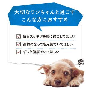 犬 犬用品 乳酸菌 ビフィズス菌 サプリ パウ...の詳細画像2
