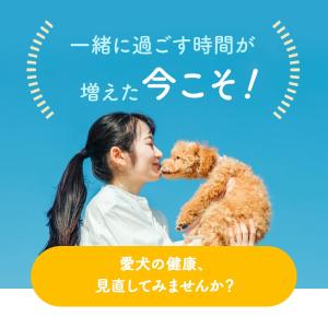 犬 犬用品 乳酸菌 ビフィズス菌 サプリ パウ...の詳細画像3