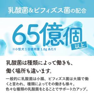 犬 犬用品 乳酸菌 ビフィズス菌 サプリ パウ...の詳細画像5