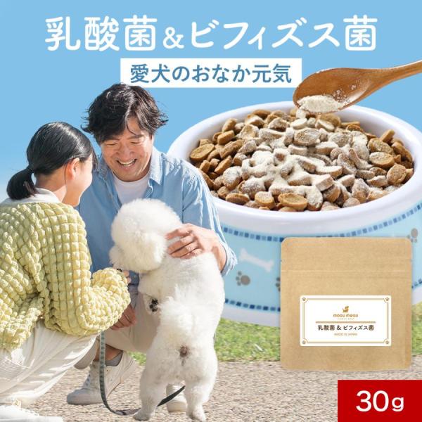 お試し品 犬用 乳酸菌 ＆ ビフィズス菌 30g  サプリメント オリゴ糖 腸活 菌活 猫 シニア犬...