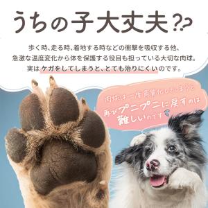 犬 犬用品 猫 肉球クリーム 国産 無香料 3...の詳細画像2