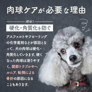 犬 犬用品 猫 肉球クリーム 国産 無香料 3...の詳細画像3