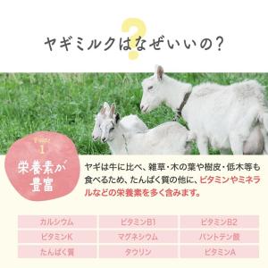 犬 犬用品 ヤギミルクパウダー 無添加 80g...の詳細画像4