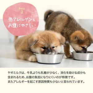 犬 犬用品 ヤギミルクパウダー 無添加 80g...の詳細画像5