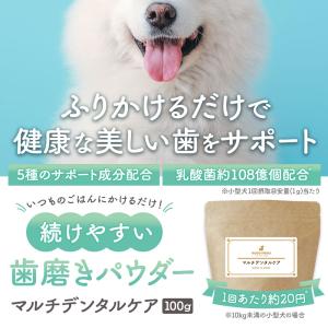 【爆買セール】犬 犬用品 歯磨き 粉末 パウダ...の詳細画像1
