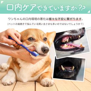 【爆買セール】犬 犬用品 歯磨き 粉末 パウダ...の詳細画像3