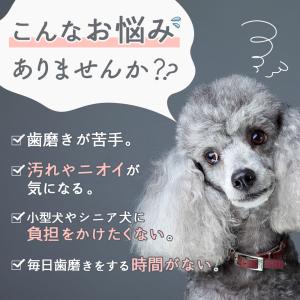 【爆買セール】犬 犬用品 歯磨き 粉末 パウダ...の詳細画像4