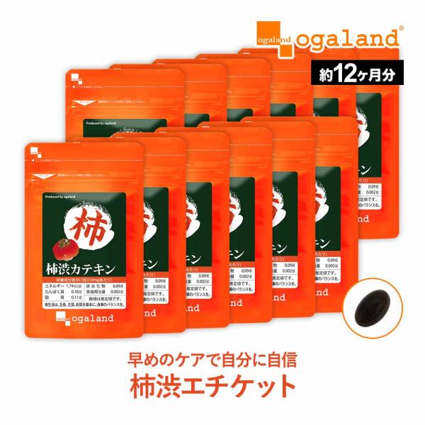 柿渋カテキン （約12ヶ月分） シャンプー や 石鹸 で有名な 柿渋 エチケット サプリ カテキン ...