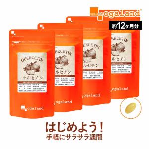 ケルセチン (約12ヶ月分) 亜麻仁油 サプリ ...の商品画像