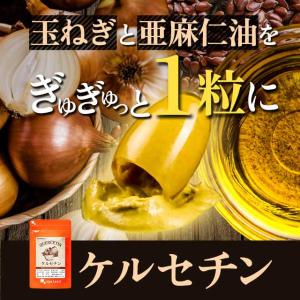 ケルセチン (約12ヶ月分) 亜麻仁油 サプリ...の詳細画像3