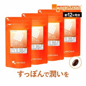 α―リポ酸　サプリ　 約６ヵ月分 ×３袋セット ogaland（オーガランド） α-リポ酸 （約6ヶ月分）ポイント利用 爆買