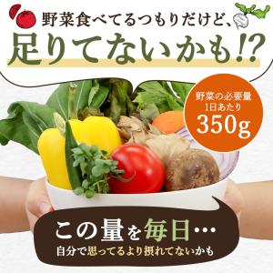アマニ油 やさい酵素 (約12ヶ月分) 酵素サ...の詳細画像5