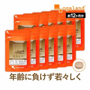 冬虫夏草 （約12ヶ月分） 賞味期限最短2025年3月末まで とうちゅうかそう サプリ サプリメント ビタミン ミネラル アミノ酸 健康食品 サプリで手軽に｜oga