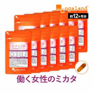 ビタミンBカプセル （約12ヶ月分）葉酸 サプリ 栄養機能食品 イノシトール  サプリメント 皮膚や粘膜の健康維持を助ける