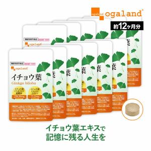 イチョウ葉サプリ 約12ヶ月分の買取情報